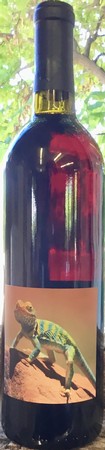 Terra Image