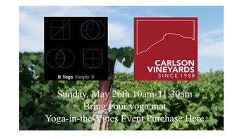 Yoga-in-the-Vines