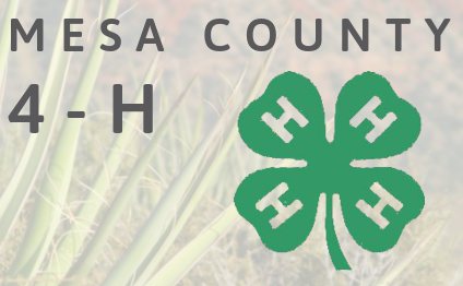 Logo for the Mesa County 4-H program.